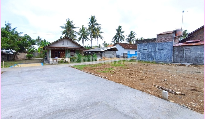 Tanah Murah di Tawangsari, Kulon Progo Dekat Kampus UAD 4  2
