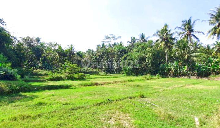 Lahan Dekat Exit Tol Sentolo di Nanggulan 2