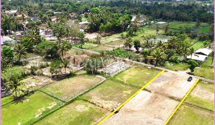 Affordable Land West of UII Campus, For Housing