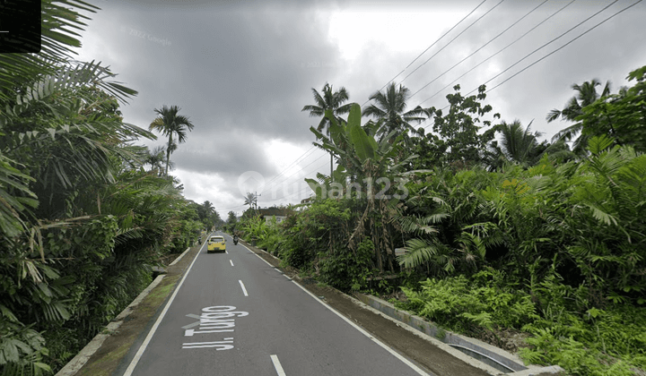 Di Jual Tanah Shm Sawah Lokasi Jalan Turgo 1