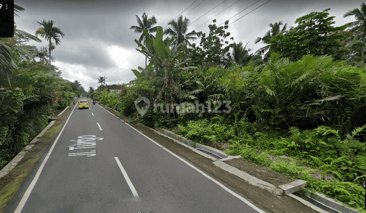 Di Jual Tanah Shm Sawah Lokasi Jalan Turgo 2