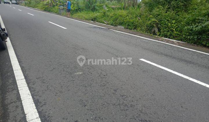 Di Jual Tanah Shm Sawah Lokasi Jalan Turgo 5