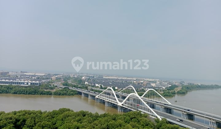 For Rent Apartment Gold Coast Tower Caribbean 2