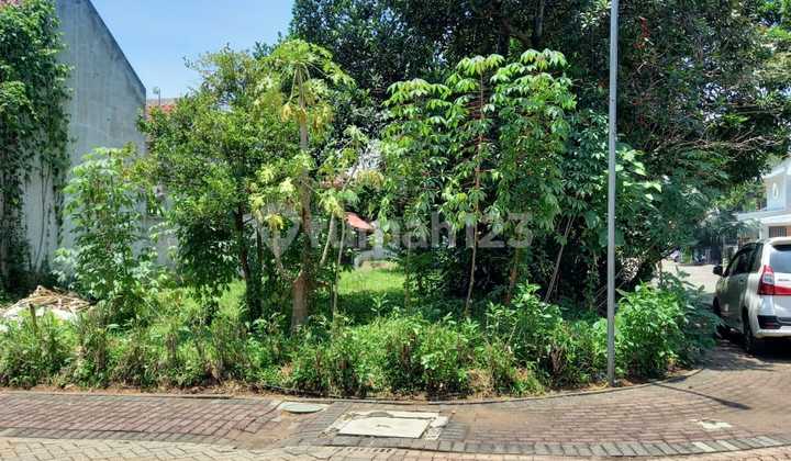 Di Jual Kavling Daerah Jonggol Bogor Bukit Menteng Di Jual Kavling Daerah Jonggol Bogor Bukit Menteng