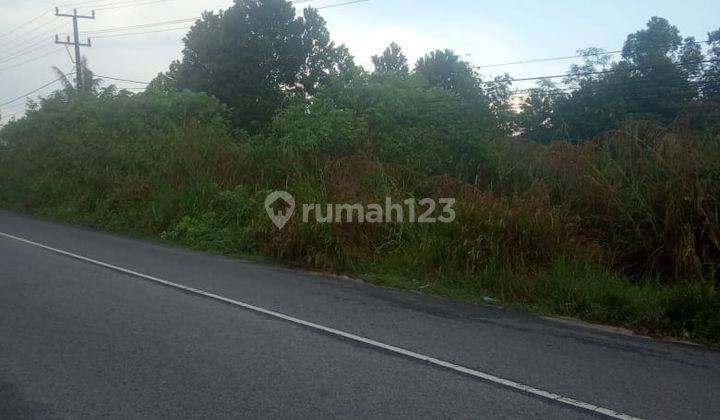 Lahan Samping Kantor Desa Kehutanan Pangkal Pinang 2