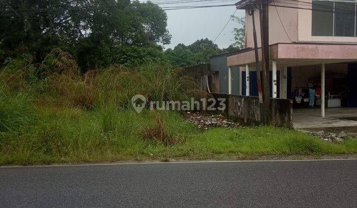 Lahan Samping Kantor Desa Kehutanan Pangkal Pinang 1