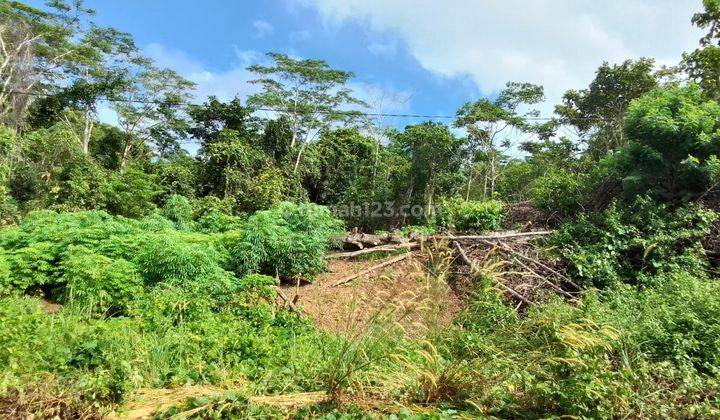 Dijual Lahan Cocok Untuk Perumahan di Sorong Papua 2