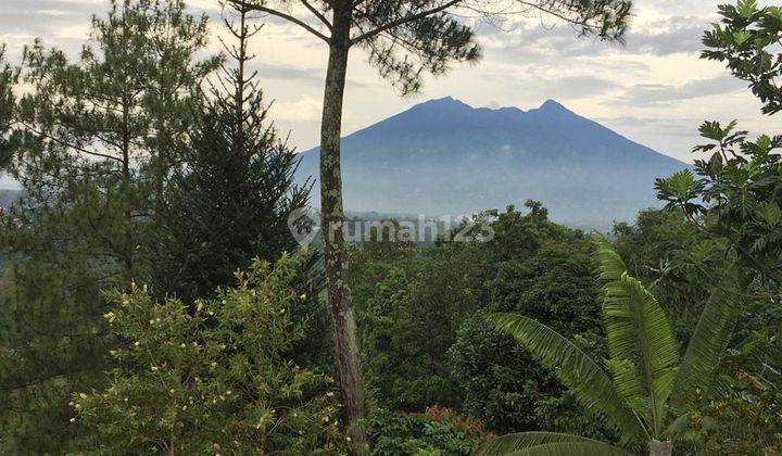 Dijual Villa Mega Mendung View Gunung Salak, Pangrango, Gunung Gede Bogor Jawa Barat 2