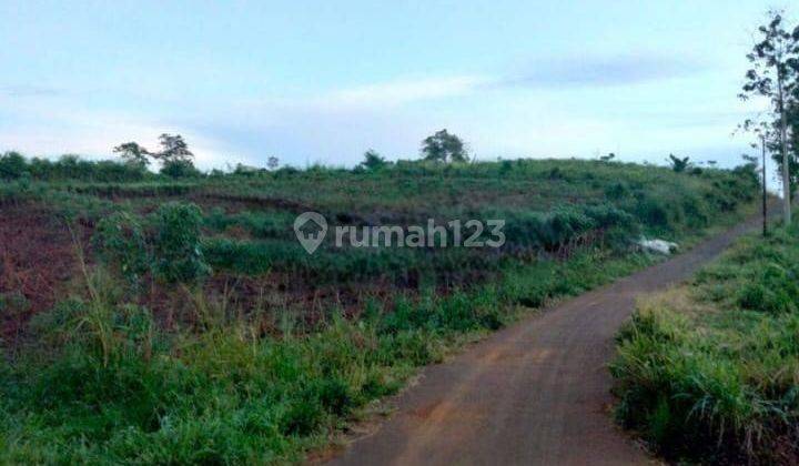 Dijual Tanah Untuk Zona Perumahan Atau Pertanian di Sirkuit Jati Indah Sukaresmi Cianjur Jawa Barat  1