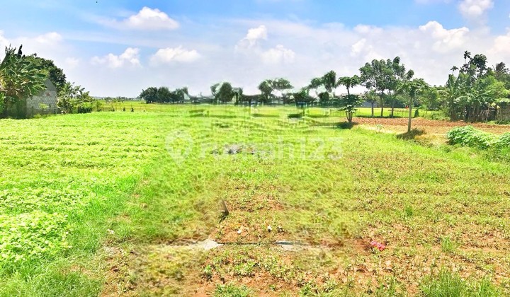 Dijual Tanah di Pinggir Jalan Raya Babelan Lokasi Strategis 