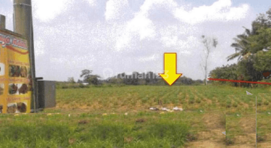 Dijual Cepat Tanah di Jalan Raya Lintas Sumatera, Terbanggi Besar, Lampung Tengah 3