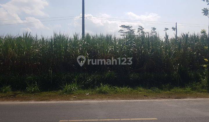 Tanah di Gedok Wetan, Turen, Malang 1