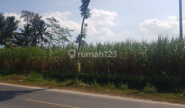 Tanah di Gedok Wetan, Turen, Malang 3