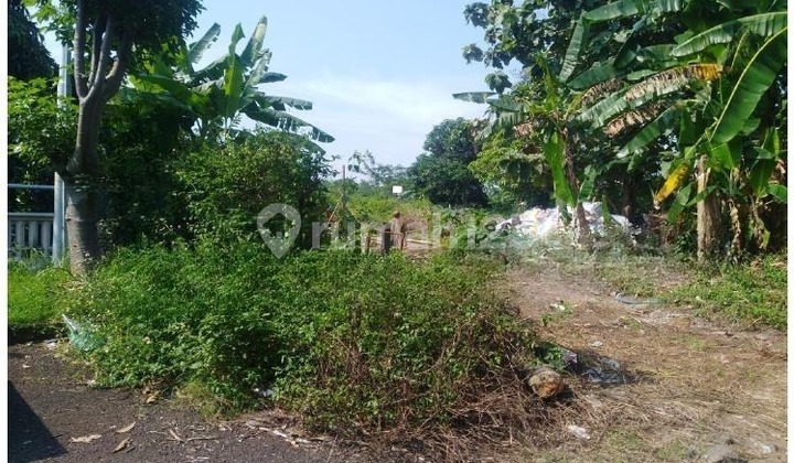 Tanah Kosong di Jalan Tambakaji 1, Ngaliyan – Semarang Jawa Tengah 2