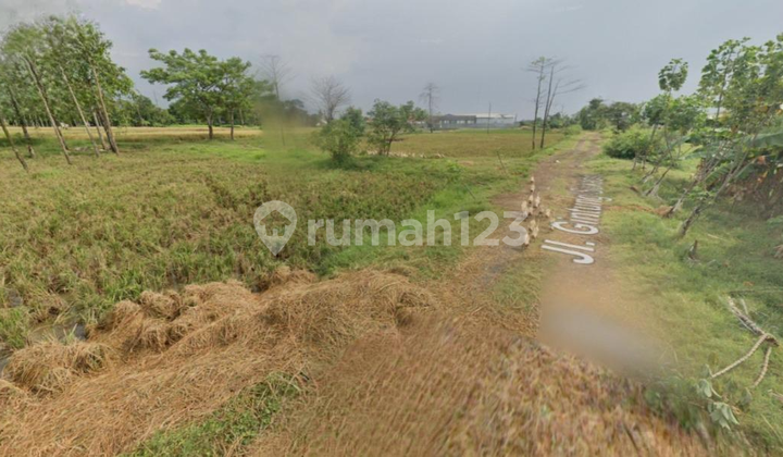 Tanah di Kampung Pulo, Mauk Raya - Tangerang Tanah di Kampung Pulo, Mauk Raya - Tangerang