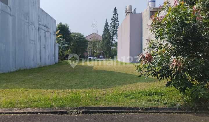 Silk Lavender Plot - Alam Sutera, Tangerang Silk Lavender Plot - Alam Sutera, Tangerang