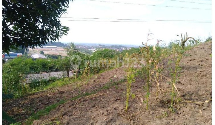 Tanah Kosong di Jalan Tambakaji 1, Ngaliyan – Semarang Jawa Tengah 1