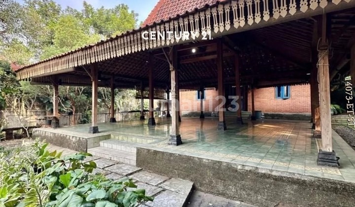 Dijual Rumah Classic Tradisional Di Sektor 9 Bintaro 2