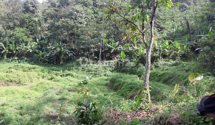 Jual Kebun Kopi Dekat Daerah Wisata, SHM 2 Ha. Akses Jalan Besar. 7