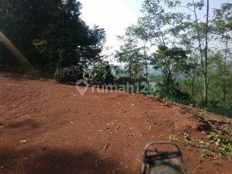 Dujual Kebun Kayu Albasiah , Shm, Tanah Siap Garap 1