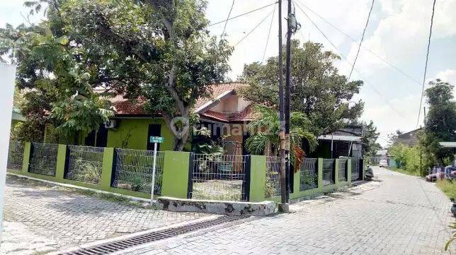 Rumah di Jalan Panda Timur
Cocok untuk kos 1