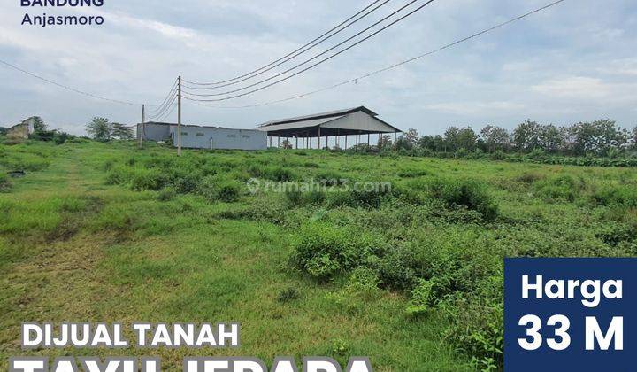 Dijual Tanah  di Jl. Tayu Jepara, Tayu