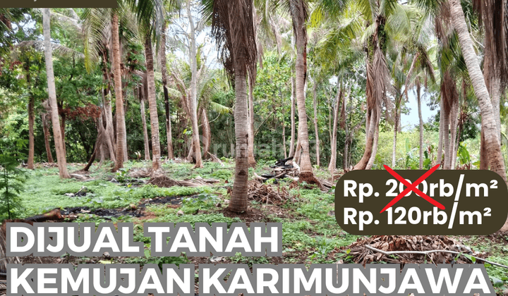 Dijual Tanah di Jl. Kemujan, Karimunjawa, Karimunjawa 1