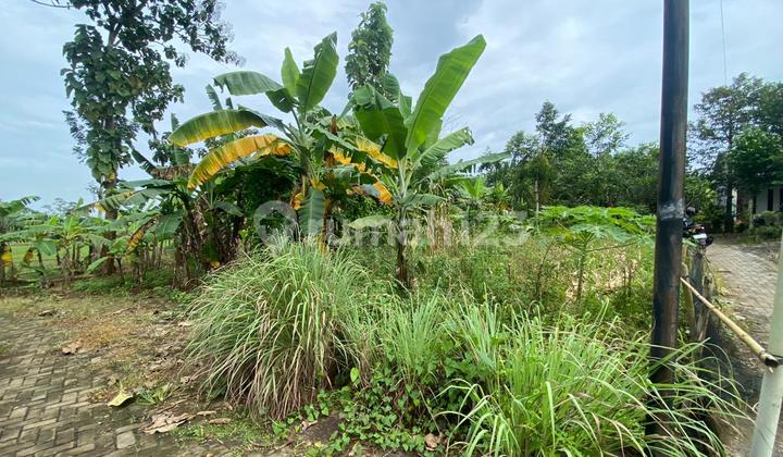 Podorejo Ngaliyan Land 2