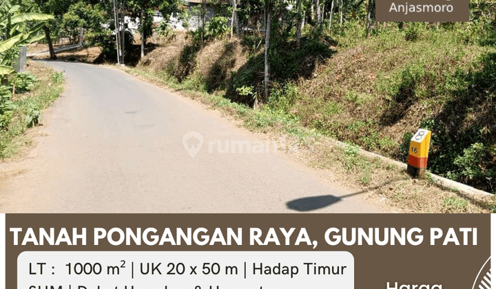 Dijual Tanah Pongangan Raya, Gunung Pati  1