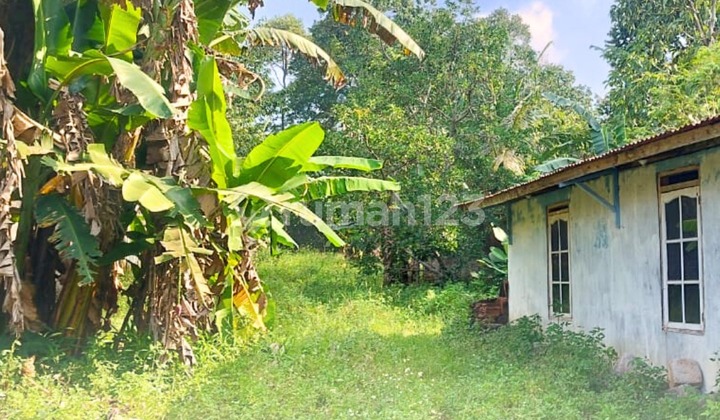 Land in Limbangan Boja 1