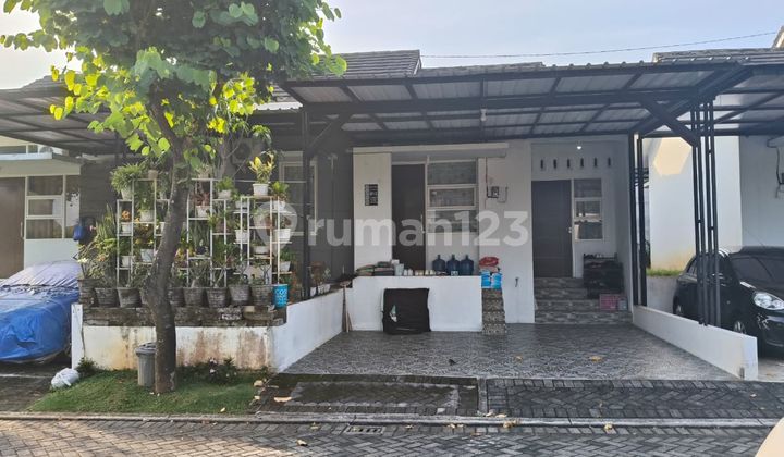 BSB Village Aurora Terrace  2