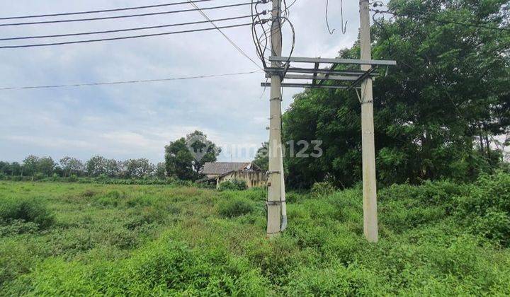 Tanah daerah Pati, Tayu pinggir jalan 2