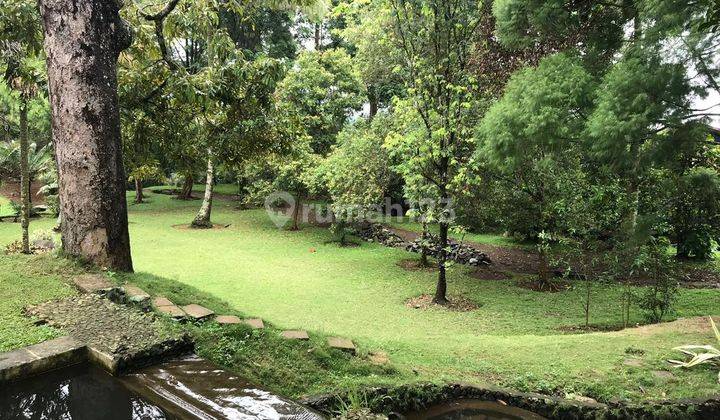 Dijual Tanah Berbukit Di Puncak Dekat Cisarua 1