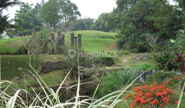 Dijual Tanah Berbukit Di Puncak Dekat Cisarua 2