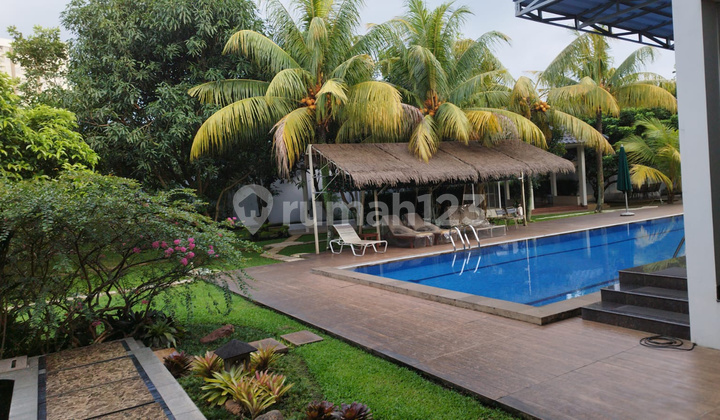 Rumah Mewah Luas Ada Kolam Renang di Alam Sutera