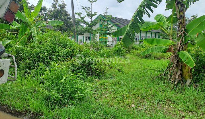 Jual Tanah Strategis Pinggir Jalan Raya Rembang-Blora SHM 2