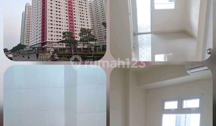 Must Sell This Month, Cheapest Nerine Hoek Low Floor Greenpramuka Must Sell This Month, Cheapest Nerine Hoek Low Floor Greenpramuka