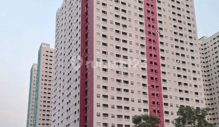 Must Sell This Month, Cheapest Nerine Hoek Low Floor Greenpramuka Must Sell This Month, Cheapest Nerine Hoek Low Floor Greenpramuka