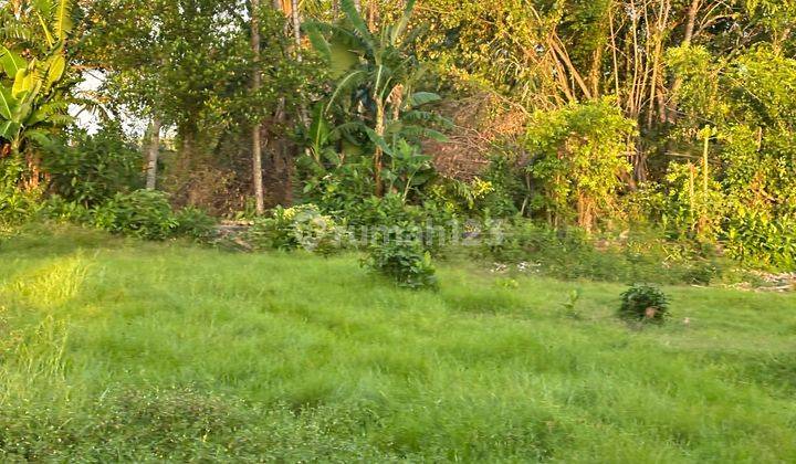 For Sale Plot Jalan Kaki Di Pantai Jumpai Klungkung  2