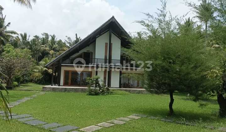 For Sale Villa Location Buleleng Bon Dalem 