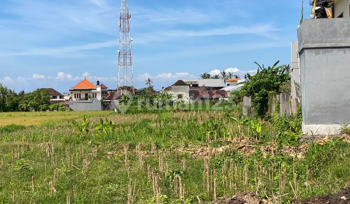 Premium Plot Land Jl Segara Wilis Pering Blahbatuh Gianyar Premium Plot Land Jl Segara Wilis Pering Blahbatuh Gianyar