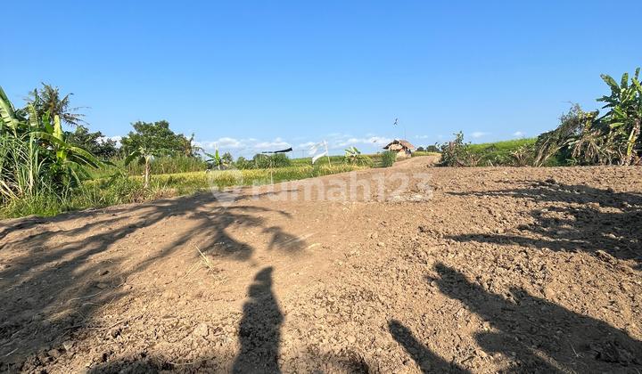 Dijual Tanah Super Buc 200 Meter Dari Pantai Kedungu