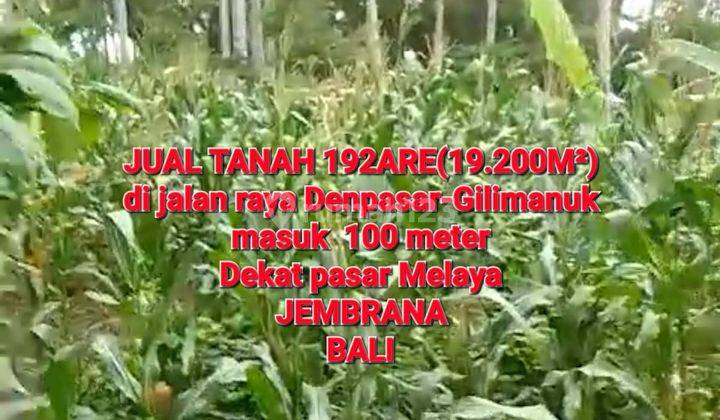 Jual Tanah Di Jalan Raya Denpasar Gilimanuk 1