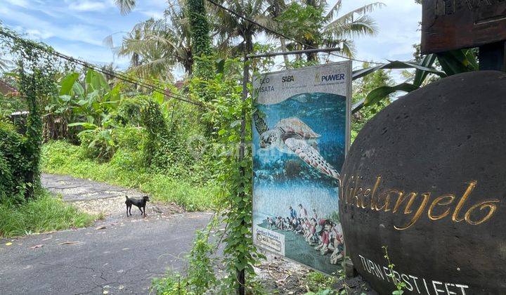 Dijual Cepat Tanah Di Kawasan Pantai Saba Gianyar  1