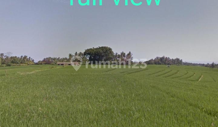 Fot Sale Land At Banjar Serampingan Pasut Tabanan 2
