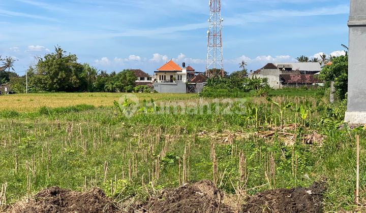 Premium Plot Land Jl Segara Wilis Pering Blahbatuh Gianyar Premium Plot Land Jl Segara Wilis Pering Blahbatuh Gianyar