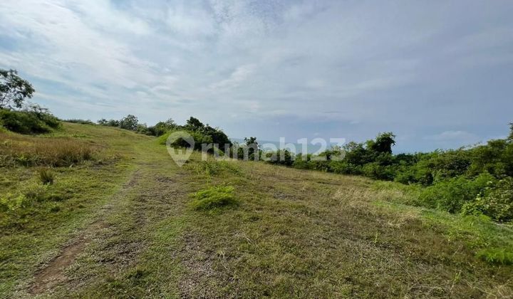 Dijual Tanah Los Tebing Berliannya Pecatu