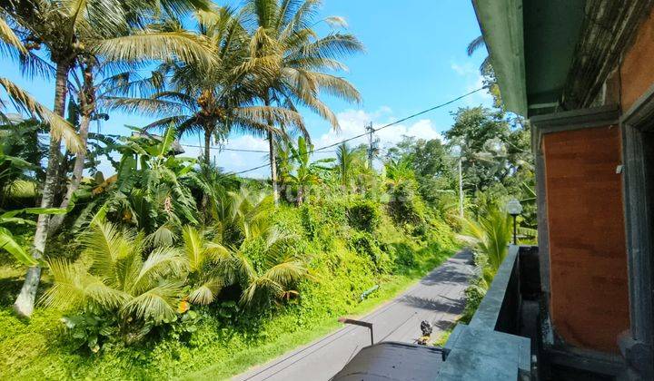 Jual Tanah Bonus Bangunan Etnik Bali Cocok Untuk Usaha 2