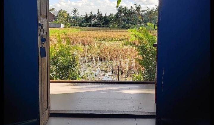 Villa Lokasi di Kemenuh Gianyar View Sawah 6