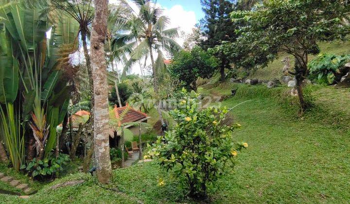 Resort di Tegallalalng Gianyar Dekat Ubud 18